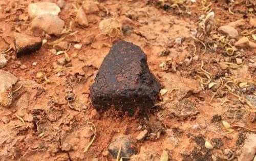 Новый подход к поискам жизни на Марсе на основе анализа метеоритов Новый подход к поискам жизни на Марсе на основе анализа метеоритов