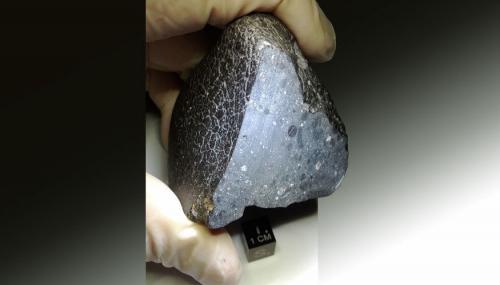 ������� �������� ���������� ������� ���������� �����